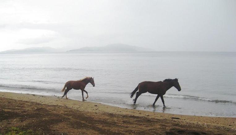 Aroha Taveuni Beachfront Bures Waiyevo Exteriér fotografie